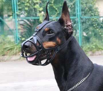 Large Dog Muzzle