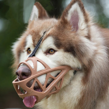 Web Shape Dog Muzzle