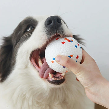 Bite Resistant Dog Ball