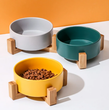 Food and Water Pet Bowl