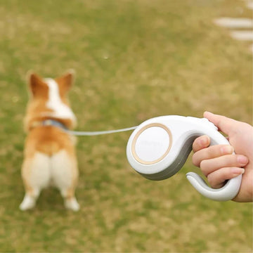 Retractable Dog Lead "Hook" 3m/5m