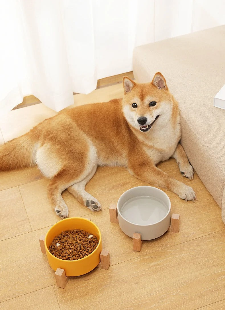 Food and Water Pet Bowl