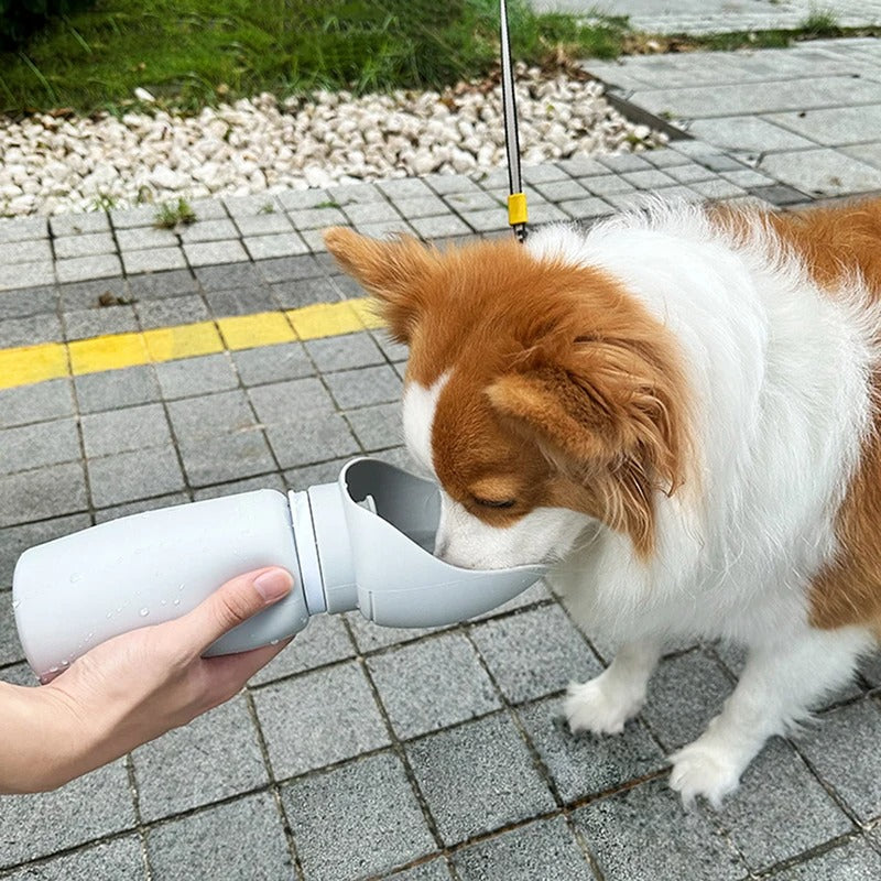 Collapsible Reusable Pet Water Bottle
