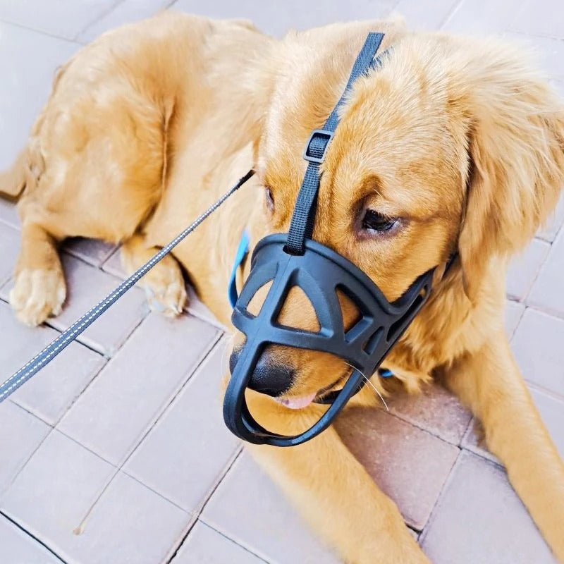 Large Dog Muzzle